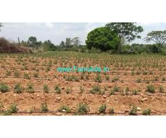 2.3 Acre Ready Farm Land For Sale Near Balethothnhalli