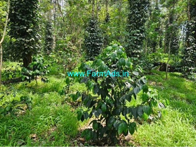 300 Acres Coffee Estate For Sale In Sakleshpur 300 Acres Coffee Estate For Sale In Sakleshpur