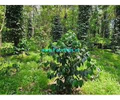 300 Acres Coffee Estate For Sale In Sakleshpur