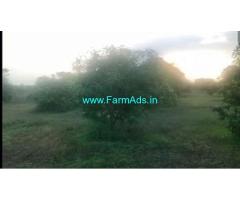 7 Acres Mango Farm For Sale In Vikarabad
