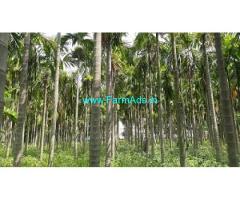 8 Acres Agricultural Farm For Sale In Koratagere