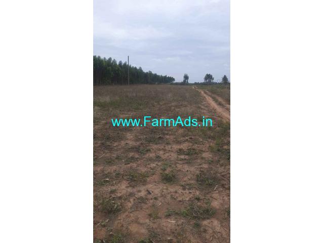 1 Acre Agriculture Land  For Sale Near Hosakote 1 Acre Agriculture Land  For Sale Near Hosakote