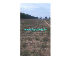 1 Acre Agriculture Land  For Sale Near Hosakote 1 Acre Agriculture Land  For Sale Near Hosakote