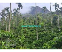 10 Acre Well Maintained Robusta Plantation Sale In Mudigere