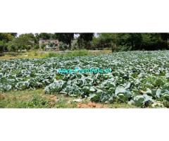 2.21 Acre Running Bricks Factory And Farm House For Sale In Chintamani