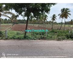 1.32 Acre Farm Land for Sale near Sira 1.32 Acre Farm Land for Sale near Sira