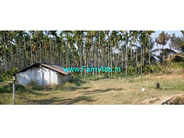 6 Acres Yielding Areca plantation for sale near Sira 6 Acres Yielding Areca plantation for sale near Sira
