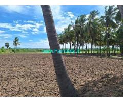 14.5 Acres Farm Land For Sale In Gudiyattam Near Bangalore Bypass