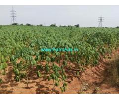 3 Acre Farm Land For Sale Near Dindigul To Karur Old Road