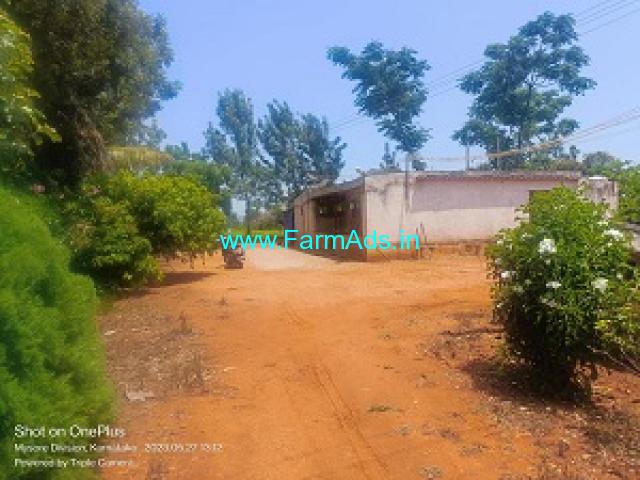 8 Acre Coconut Land For Sale Near Begur 8 Acre Coconut Land For Sale Near Begur