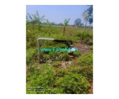 8 Acre Coconut Land For Sale Near Begur 8 Acre Coconut Land For Sale Near Begur