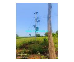 8 Acre Coconut Land For Sale Near Begur 8 Acre Coconut Land For Sale Near Begur