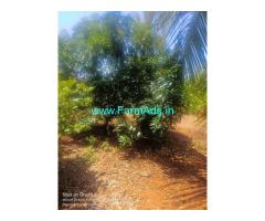 8 Acre Coconut Land For Sale Near Begur 8 Acre Coconut Land For Sale Near Begur