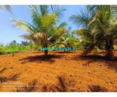 8 Acre Coconut Land For Sale Near Begur 8 Acre Coconut Land For Sale Near Begur
