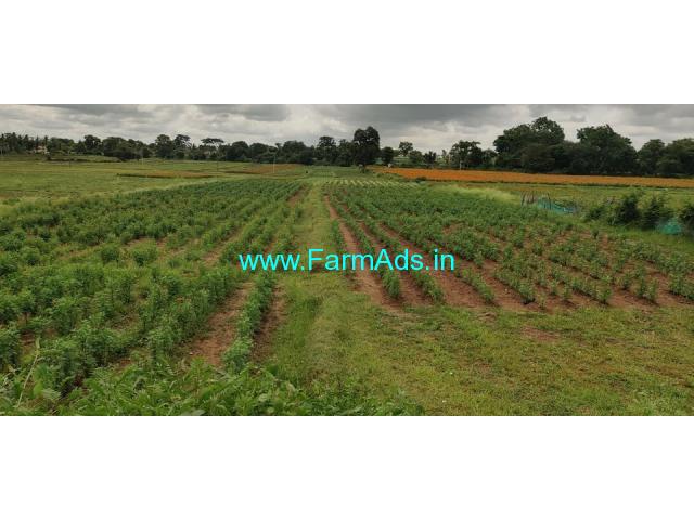 3 acre Farm Land for Sale near Ibjaalu village 3 acre Farm Land for Sale near Ibjaalu village