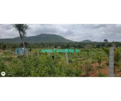 4 with 4 Acres Areca Semi Plantation For Sale In Kunigal 4 with 4 Acres Areca Semi Plantation For Sale In Kunigal