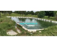 15 Acres Well developed mango property for sale near Kolar Town