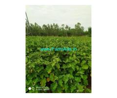 Land area 8 Acre Sale at Thanjavur to Pudukkottai Road