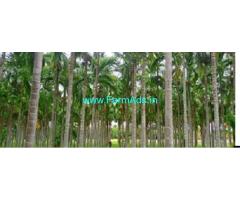 9 Acres developed farm land for sale between Tumkur and Sira