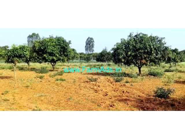 1 Acre 22 Gunta Farm Land Sale Near Kolar Srinivasapura Highway 1 Acre 22 Gunta Farm Land Sale Near Kolar Srinivasapura Highway