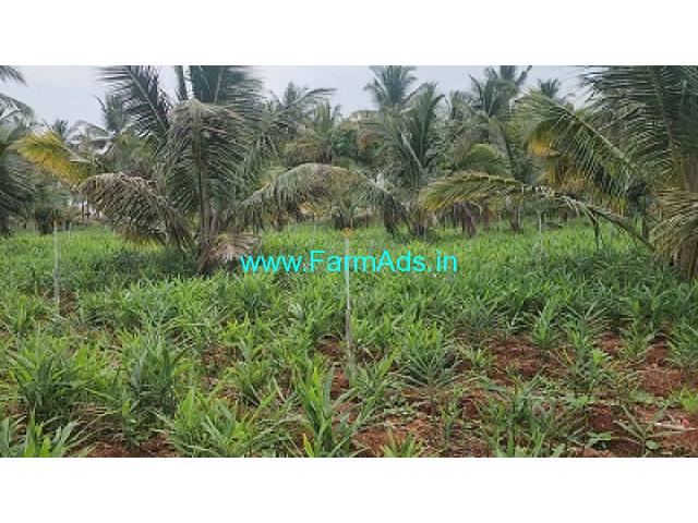 1 Acre 33 Gunta Agriculture Land For Sale near Mysore 1 Acre 33 Gunta Agriculture Land For Sale near Mysore