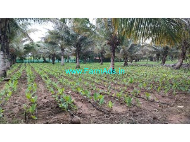 7 Acres Agricultural Land For Sale Near Gaddige Road Mysore 7 Acres Agricultural Land For Sale Near Gaddige Road Mysore