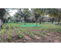 7 Acres Agricultural Land For Sale Near Gaddige Road Mysore 7 Acres Agricultural Land For Sale Near Gaddige Road Mysore