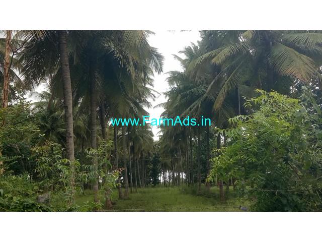 7.5 Acres Coconut farm 25 kms from Mysore Towards Nanjangud road 7.5 Acres Coconut farm 25 kms from Mysore Towards Nanjangud road
