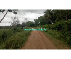 7.5 Acres Coconut farm 25 kms from Mysore Towards Nanjangud road 7.5 Acres Coconut farm 25 kms from Mysore Towards Nanjangud road