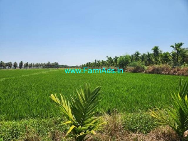 1 acre Agriculture land for sale near Davanagere 1 acre Agriculture land for sale near Davanagere