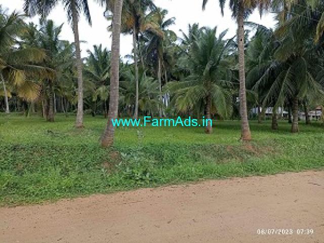 1.10 Acre Beautiful Coconut Farm For Sale Near Mysore 1.10 Acre Beautiful Coconut Farm For Sale Near Mysore