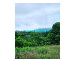 3 Acre Land For Sale In Bisle Road Sakleshpura 3 Acre Land For Sale In Bisle Road Sakleshpura