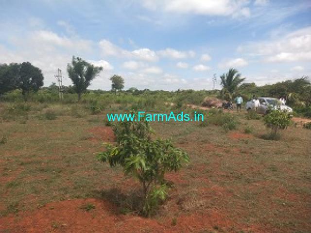 2 Acres Farm Land For Sale Near Kaiwara 2 Acres Farm Land For Sale Near Kaiwara