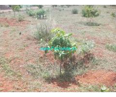 2 Acres Farm Land For Sale Near Kaiwara 2 Acres Farm Land For Sale Near Kaiwara