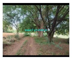 Urgent Sale 2 Acres Land Farm Land For Sale In Challakere Urgent Sale 2 Acres Land Farm Land For Sale In Challakere