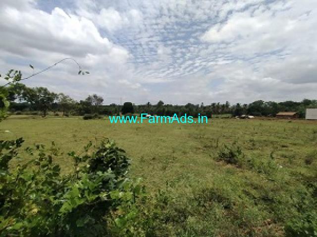 25 Gunta Farm Land For Sale In Nelamangala 25 Gunta Farm Land For Sale In Nelamangala