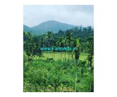 6 Acre Paddy Farm Land For Sale In Mudigere
