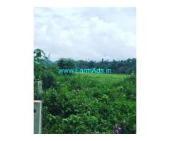 6 Acre Paddy Farm Land For Sale In Mudigere