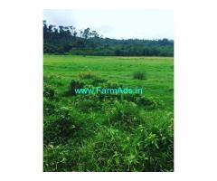 6 Acre Paddy Farm Land For Sale In Mudigere