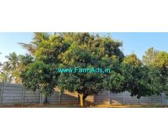 8 Guntas Farm  Land For Sale In Chikkanahalli