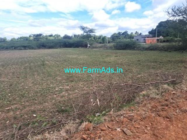 1.23 Acre Agriculture land For Sale Near Mysore 1.23 Acre Agriculture land For Sale Near Mysore