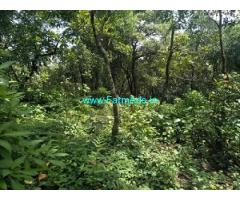 30 acre Plantation land sale in Mudigere