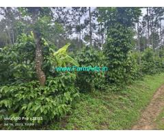 6 acre well maintained Robusta and pepper plantation sale in Belur