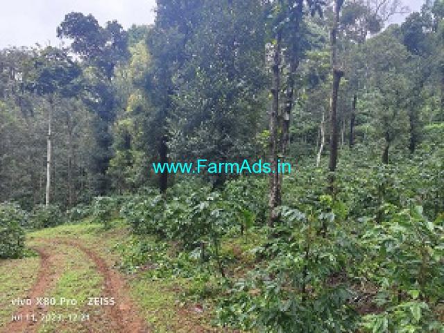 8 acre Arabica,Robusta Estate for Sale Mudigere Mangalore Road 8 acre Arabica,Robusta Estate for Sale Mudigere Mangalore Road