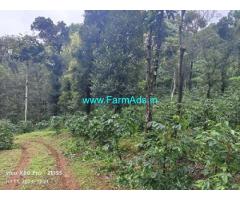 8 acre Arabica,Robusta Estate for Sale Mudigere Mangalore Road