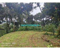 8 acre Arabica,Robusta Estate for Sale Mudigere Mangalore Road 8 acre Arabica,Robusta Estate for Sale Mudigere Mangalore Road