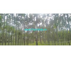 5.20 Acre Farm Land For Sale Near Nagavalli Village