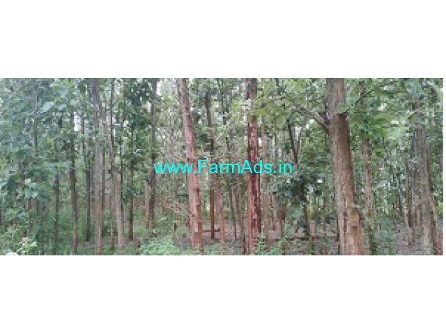 52 Acre teak plantation for sale near Malavalli 52 Acre teak plantation for sale near Malavalli