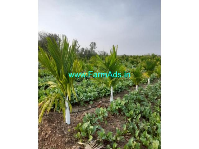 12.5 acres Farm Land for Sale near to Hiriyur 12.5 acres Farm Land for Sale near to Hiriyur