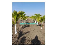 12.5 acres Farm Land for Sale near to Hiriyur 12.5 acres Farm Land for Sale near to Hiriyur